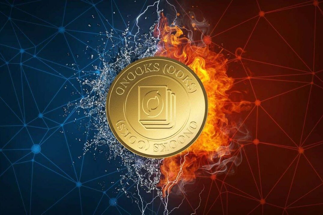 onooks-coin-private-funding
